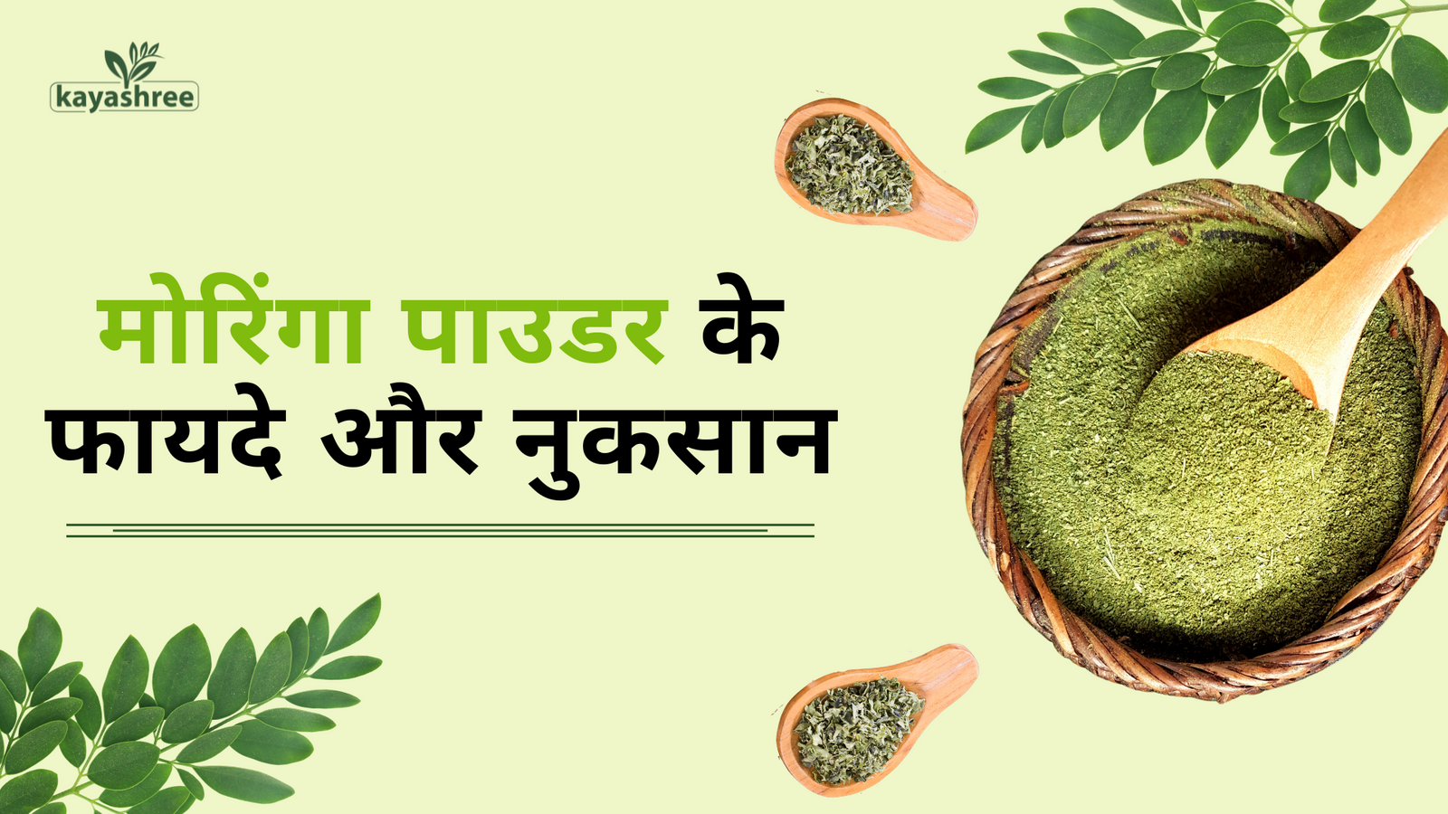 मोरिंगा पाउडर के फायदे और नुकसान