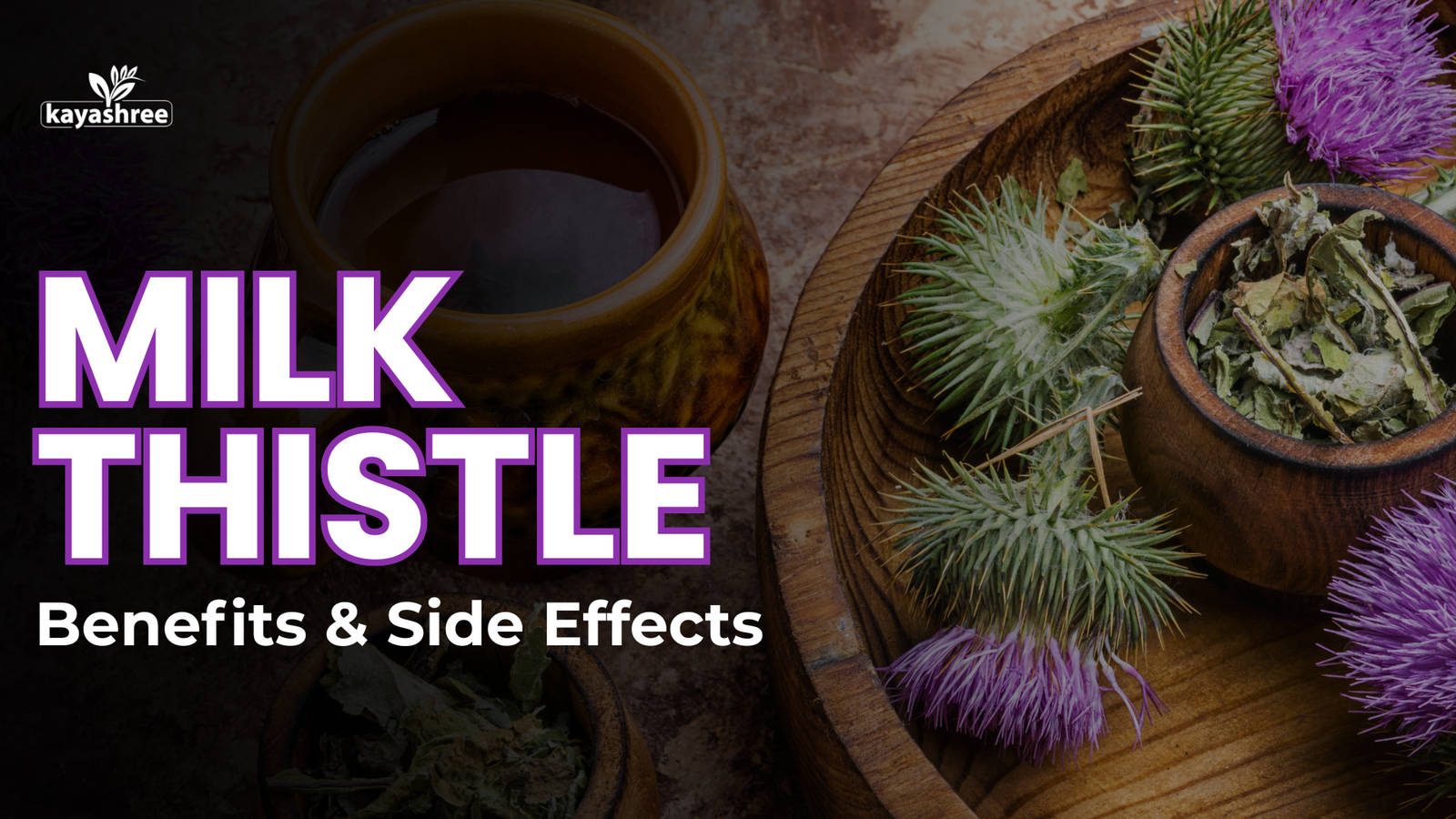 Milk Thistle Benefits and Side Effects
