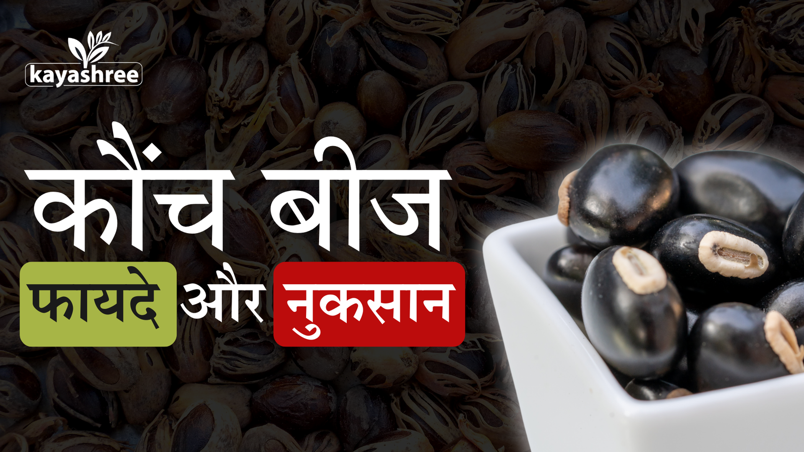 कौंच बीज के फायदे और नुकसान